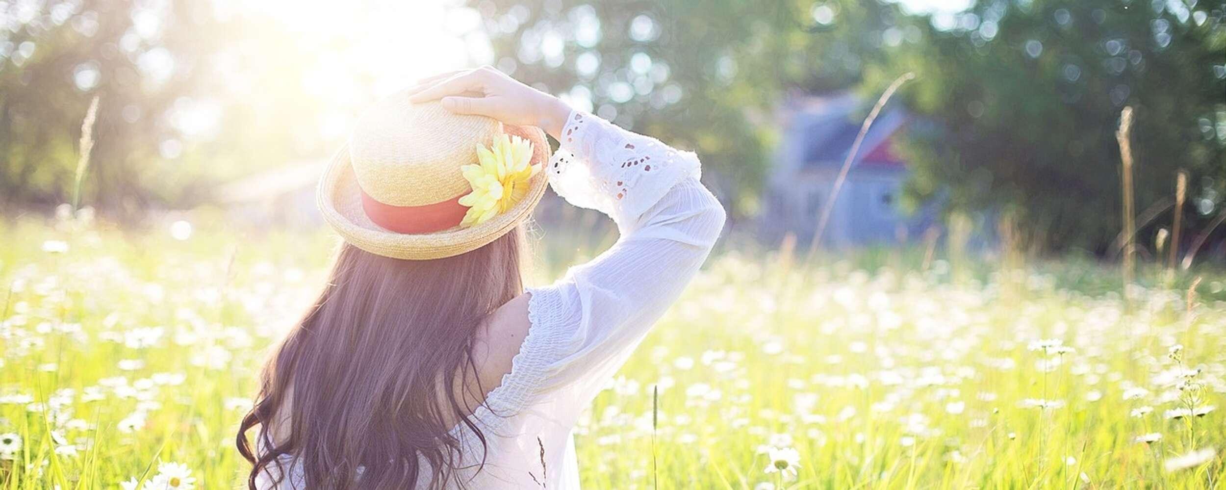 Summer whispers Summer whispers