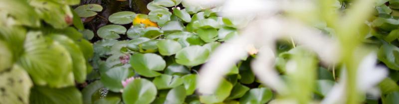 I nostri ospiti I nostri ospiti